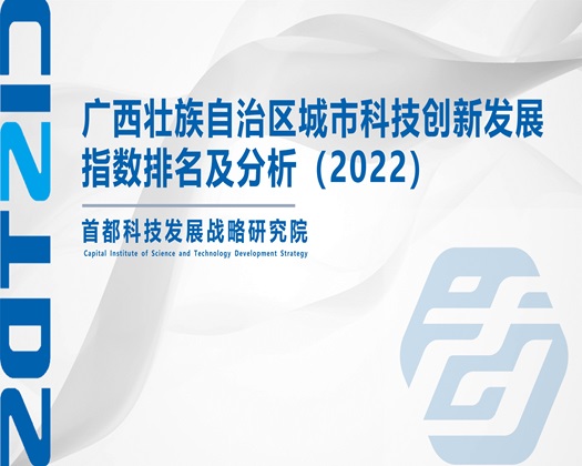 女的张开腿男的使劲艹逼啊啊啊【成果发布】广西壮族自治区城市科技创新发展指数排名及分析（2022）